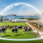 Why Are Milk and Cheese So Expensive? An Explainer on Supply Management