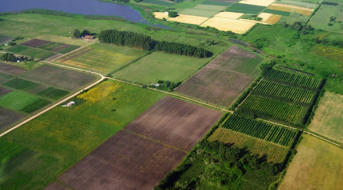 An aerial view of a patchwork of diverse Canadian farmland, including green fields, tilled soil, and a small lake, representing the agricultural landscape.