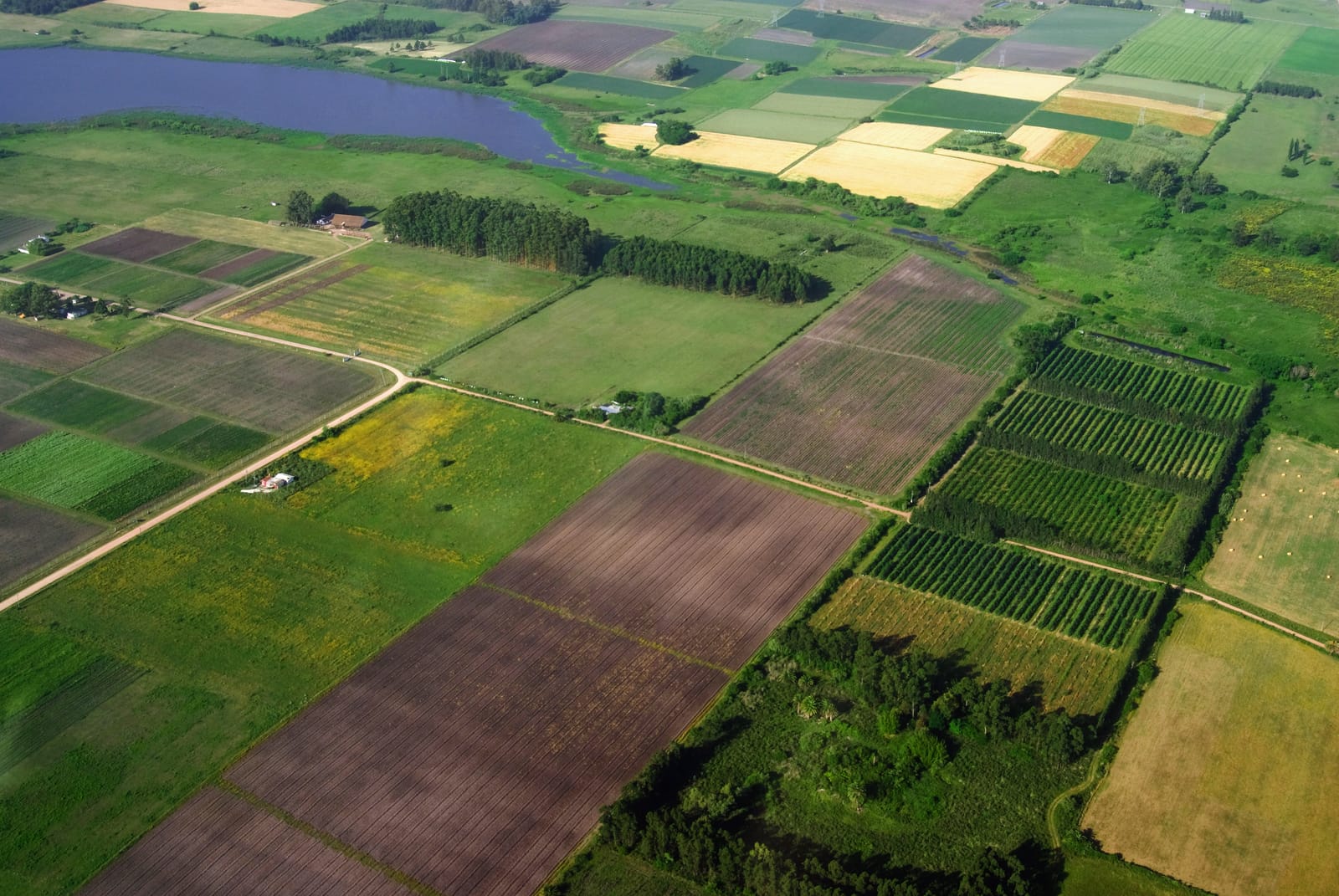 An aerial view of a patchwork of diverse Canadian farmland, including green fields, tilled soil, and a small lake, representing the agricultural landscape.