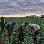 Canada’s Temporary Foreign Worker Program in 2026: Who Really Benefits?